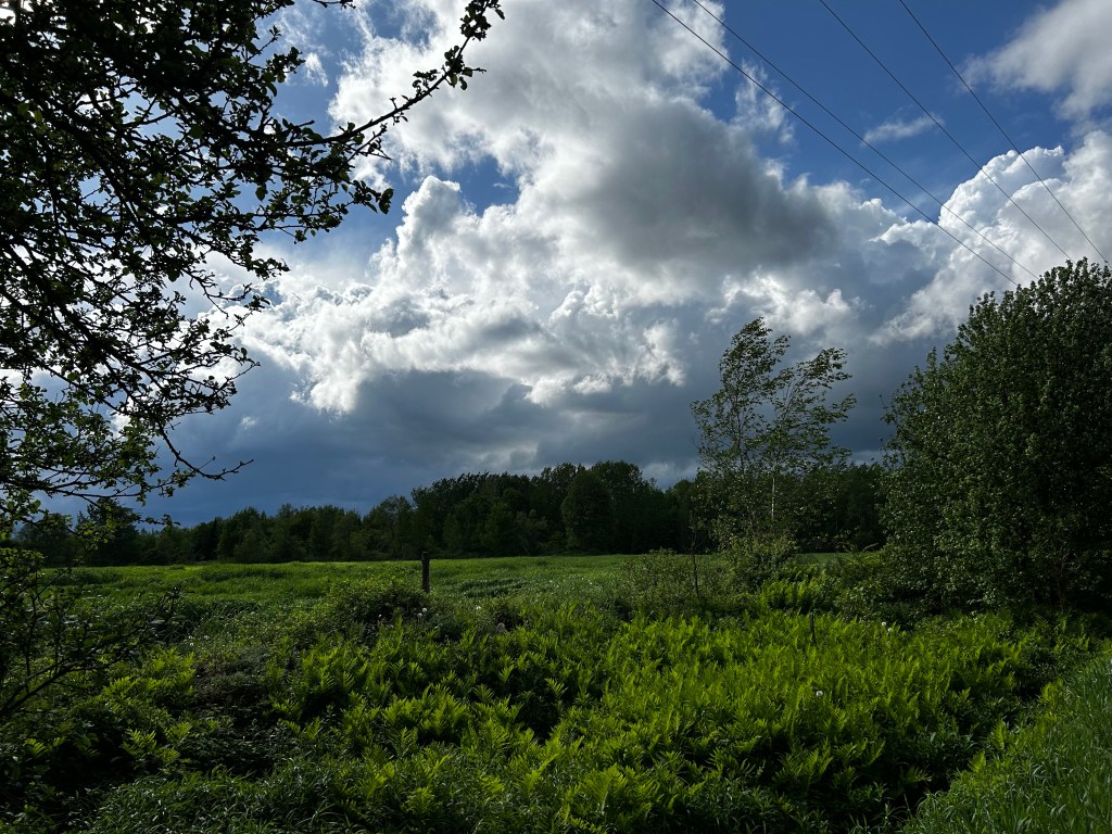 Self Care- sometimes, sometimes&nbsp;advocate